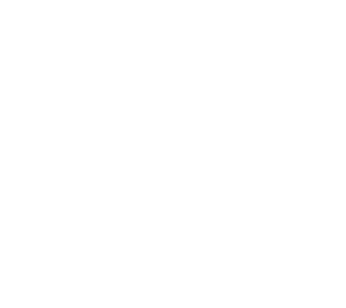 Netzero graphics ger initial composition
